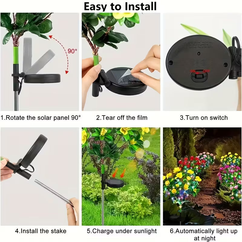 Outdoor Garden Solar Lights